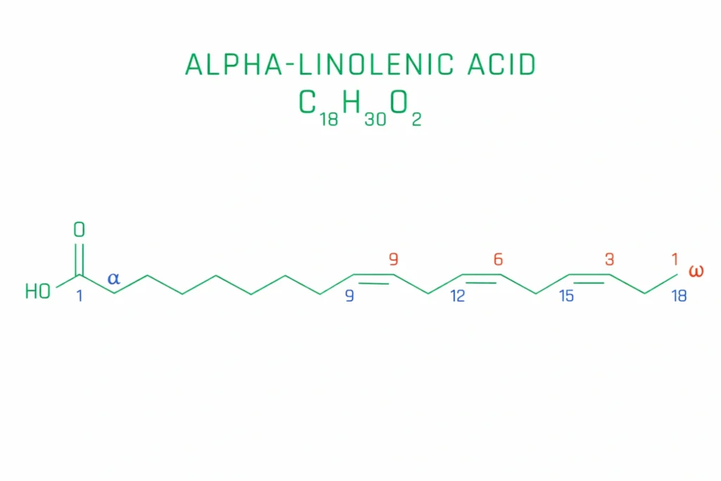 Struttura molecolare dell&rsquo;acido alfa-linolenico (ALA), un acido grasso omega-3 essenziale, con formula chimica C18H30O2 su sfondo bianco
